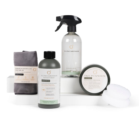 2 für Alles Set: Allzweckreiniger + Putzstein